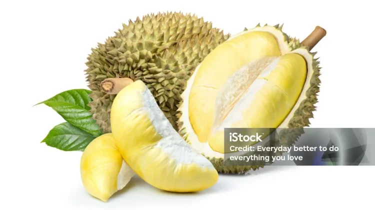 Makan Durian Berlebihan, Ketahui Dampak Baik dan Buruknya