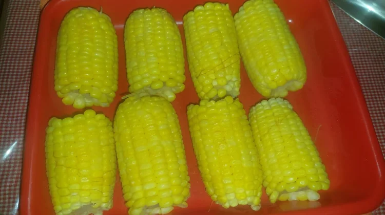Jagung Rendah Kalori, Kaya Manfaat Kesehatan