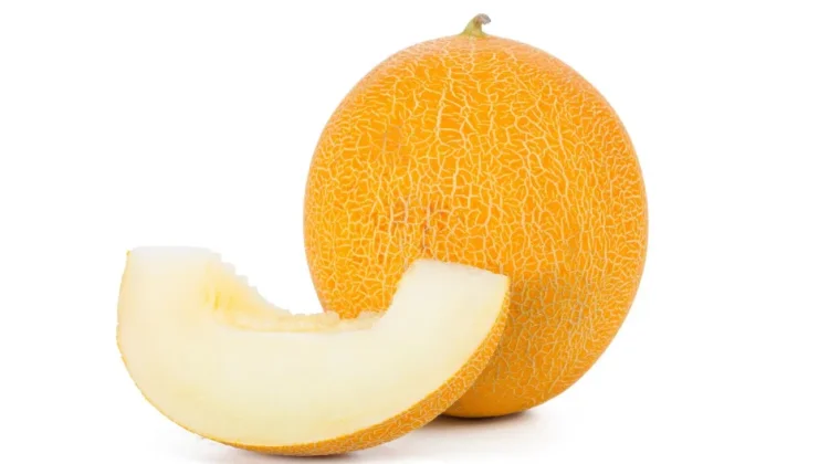 Ragam Manfaat Buah Melon untuk Kesehatan Anak