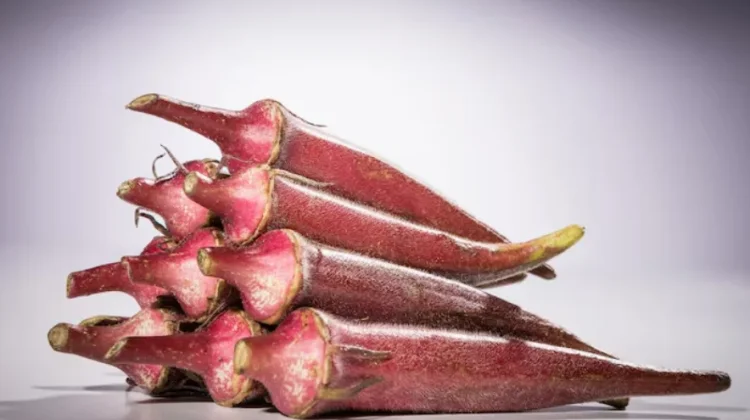 Manfaat Okra Merah bagi Kesehatan