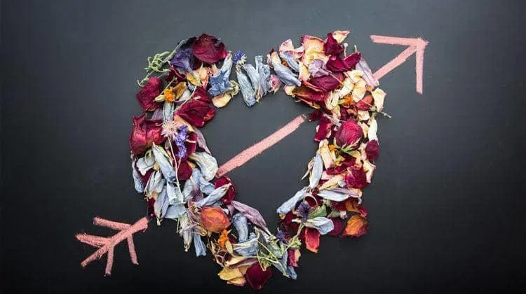 Jangan sampai tertukar, Perbedaan cinta dan sayang