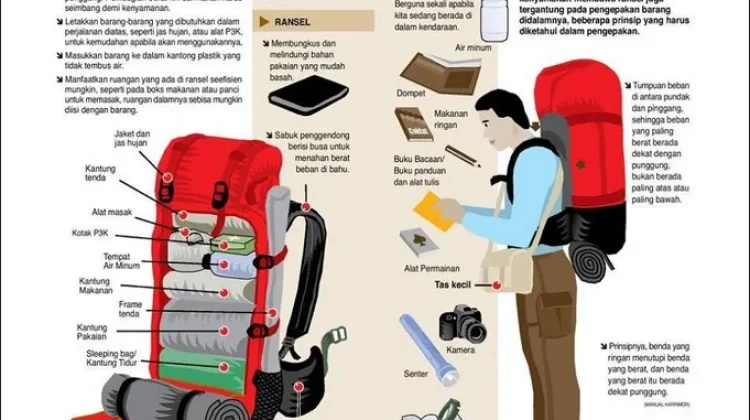 Manajemen packing carrier kunci perjalanan aman dan nyaman