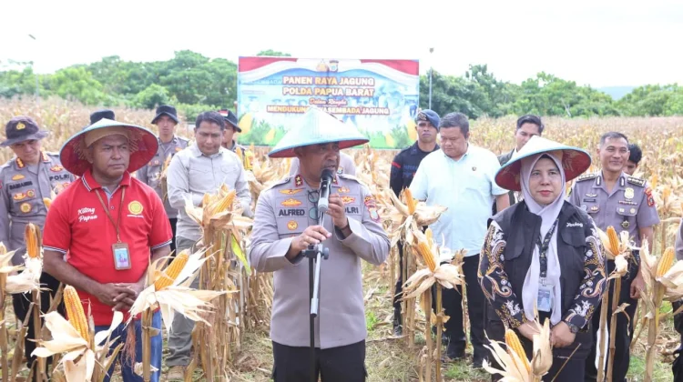 Polda Papua Barat Gelar Panen Raya Jagung Dukung Swasembada Pangan Nasional
