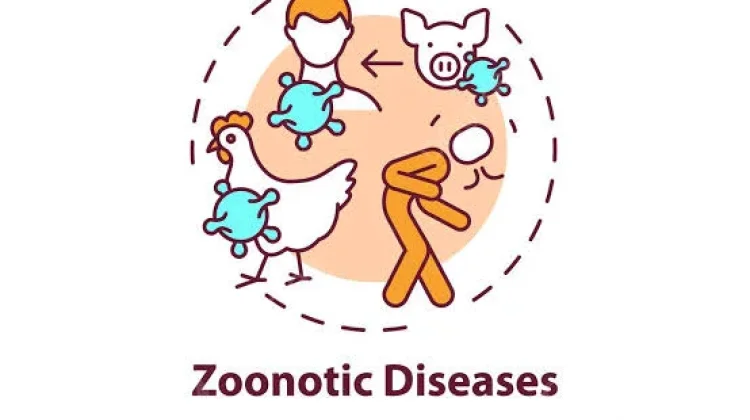 Kenali Hari Zoonosis Sedunia, Lindungi Keluarga Dari Penyakit Hewan Berbahaya