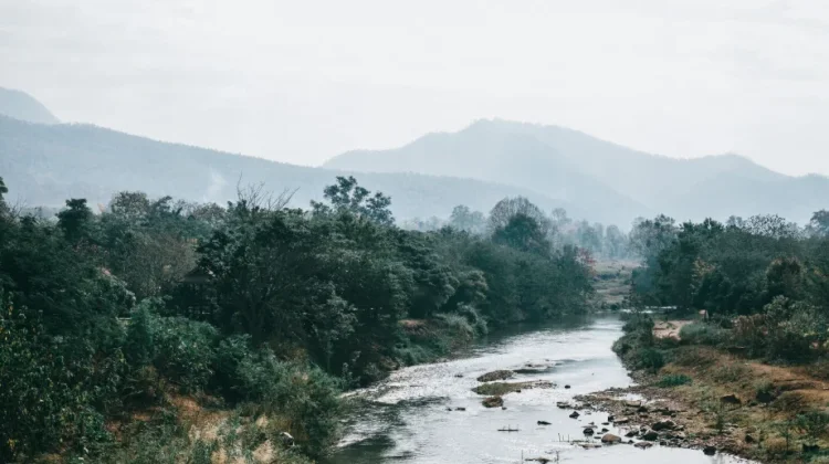 Ini Manfaat Sungai untuk Kehidupan Manusia