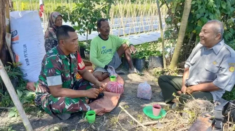Gandeng Kepala BPP Terjun Kelahan Pertanian Babinsa Sambangi Petani