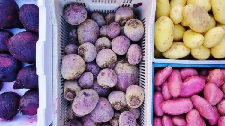 Ubi, Ube, dan Taro: Sama-sama Umbi, tapi Kenapa Rasanya Berbeda?