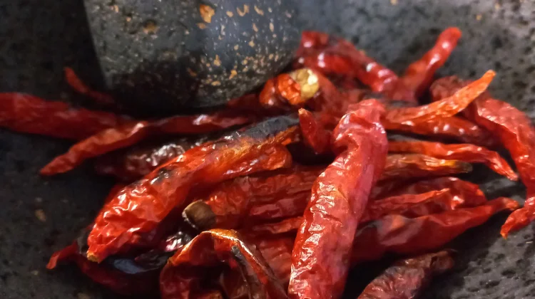 Manfaat Cabai sebagai Bumbu Dapur