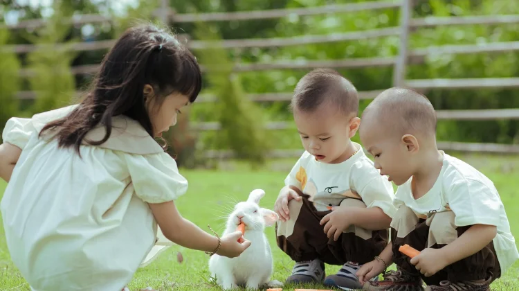 Tips agar Anak Tetap Nyaman Saat Beraktivitas di Cuaca Panas.