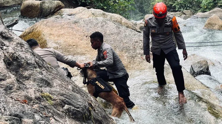 Medan Ekstrem Hambat Pencarian Korban Hanyut di Air Terjun Memti