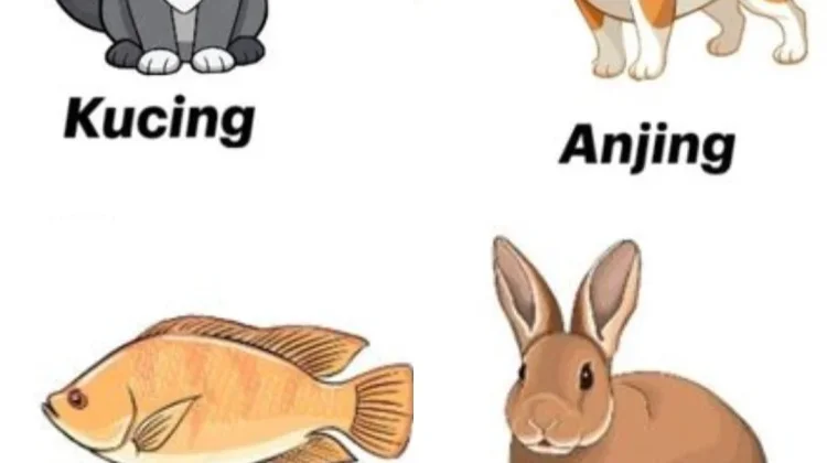 Hewan Peliharaan yang Bantu Jaga Kesehatan Mental