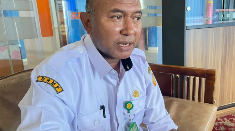 Pertanian Dinilai Jadi Peluang Besar bagi Generasi Muda Papua Barat
