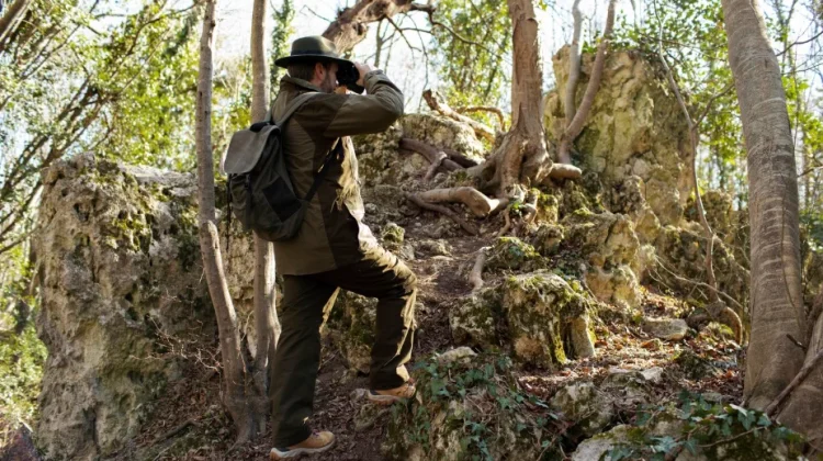 Hari Penjaga Hutan Sedunia, untuk Hormati Jasa Petugas Hutan