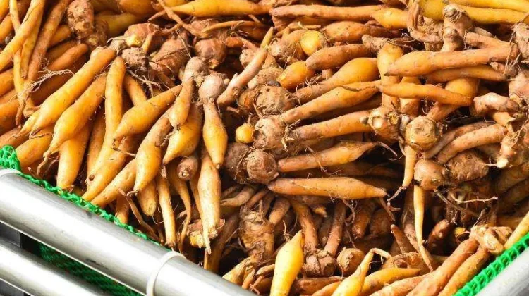 Rahasia Masakan Lezat Nusantara Ada pada Bumbu Kunci