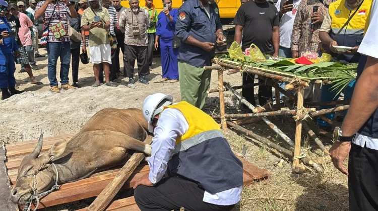 Prosesi Kurban Adat Tandai Ground Breaking Pelabuhan Teluk Bintuni