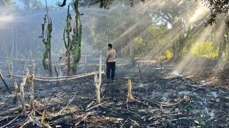 Kebakaran Lahan Tiga Titik di Teluk Bintuni Berhasil Dipadamkan