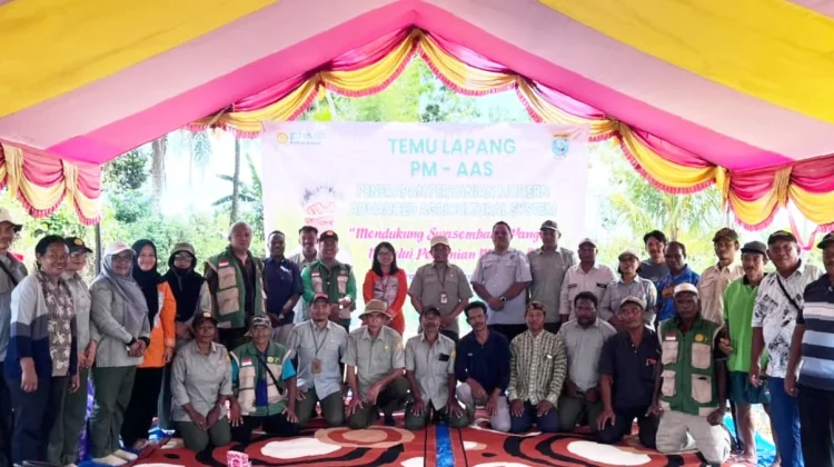 Teknologi Modern Bawa Panen Padi Prafi Tembus 10 Ton