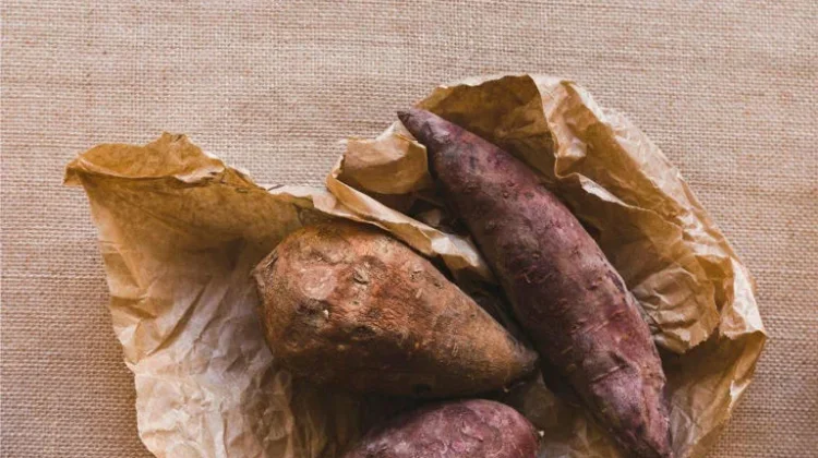 Beberapa bahan makanan yang bisa bertunas di kulkas