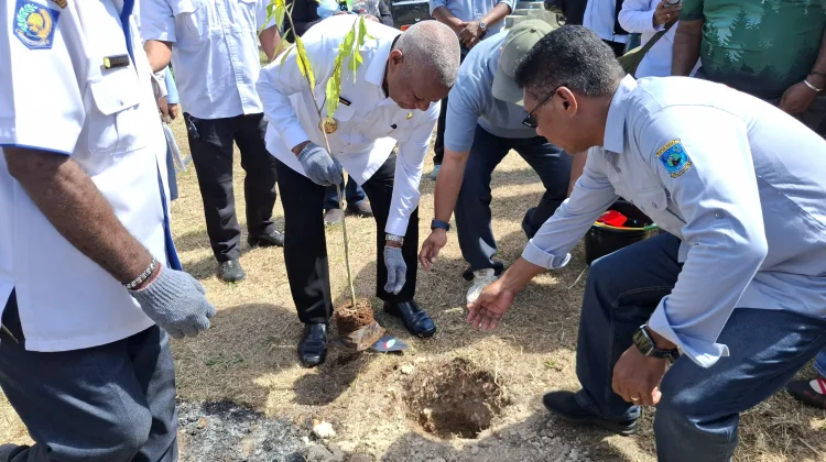 Dominggus Ajak Warga Tanam Pohon Produktif guna Tingkatkan Pendapatan Keluarga
