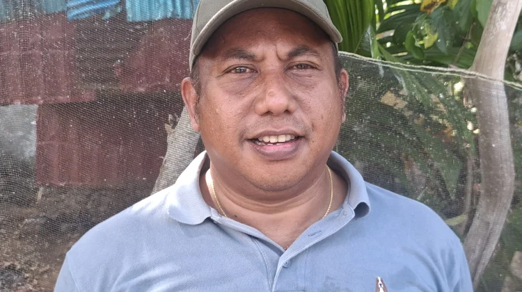 1.000 Bibit Gratis Dibagikan untuk Masyarakat Sambut HUT RI