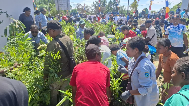 Warga Susweni Terima Bantuan Bibit Pohon dari Pemprov Papua Barat