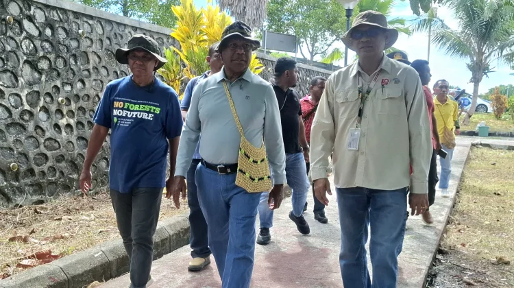 BRIDA Papua Barat Dorong Penanaman Matoa untuk Selamatkan Hutan Tropis