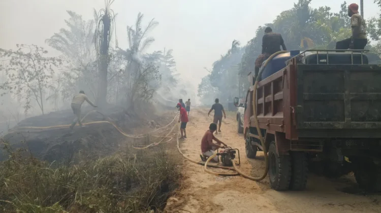 Kebakaran Lahan Sawit di Sumuri Mulai Terkendali, Aparat dan Warga Tetap Siaga