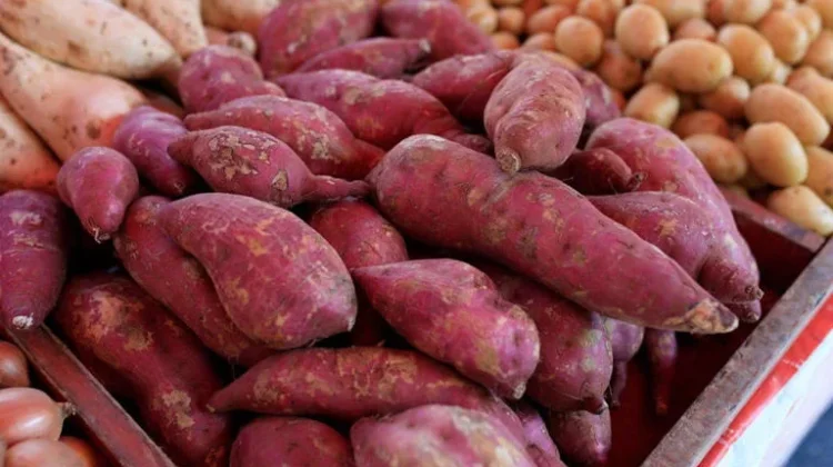 Apakah Makanan Kukusan Aman Dikonsumsi ?