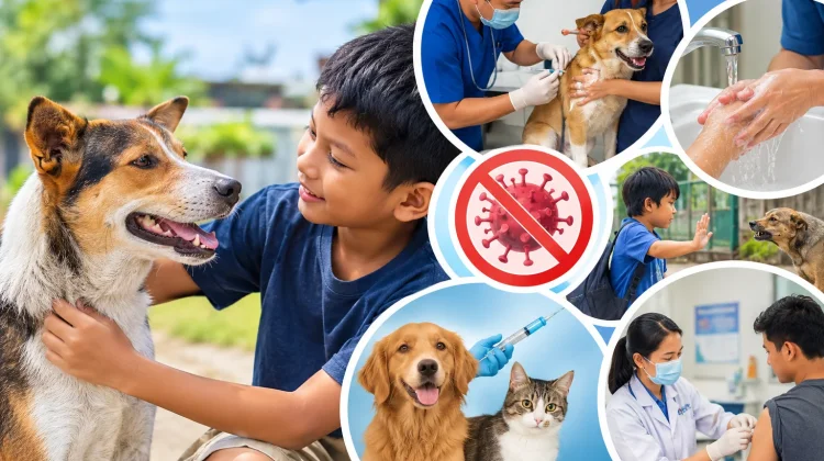 Kenali Gejala Rabies dan Cara Mencegahnya