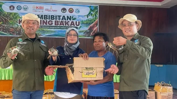 Pelepasan 250 Kilogram Kepiting Warnai Pelestarian Mangrove Wamesa