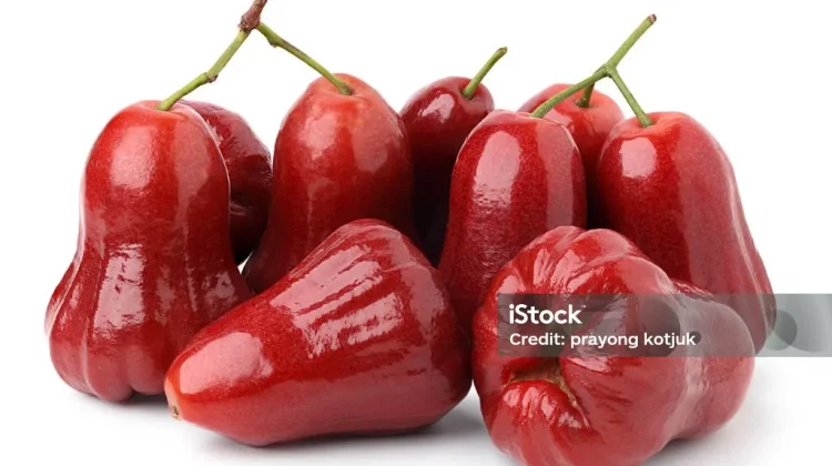 Manfaat Buah Jambu Air bagi Kesehatan
