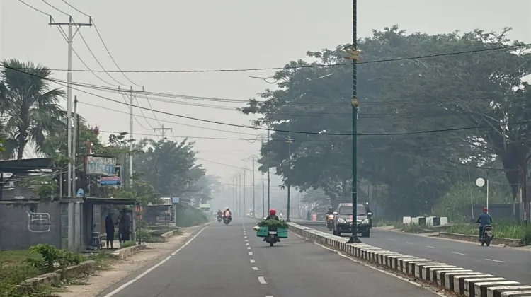 Kabut Asap Kian Pekat, RSUD Bintuni Imbau Warga Waspada