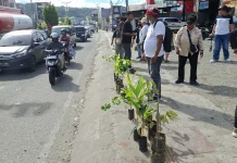 PWI Papua Barat Ajak Masyarakat Jaga Alam lewat Pembagian Pohon di HPN