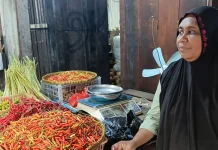Harga Bahan Pokok di Teluk Bintuni Masih Stabil