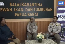 Dukung Ketahanan Pangan, Balai Karantina Papua Barat Perketat Pengawasan