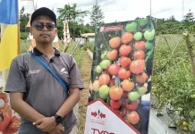 Yayasan BIna Tani Sejahtera Komitmen Dampingi Petani di Manokwari