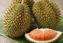 Jenis Buah Durian dan Ciri Khas, Berbagai Daerah