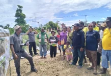 Farmers Field Day Dorong Produktivitas Petani Hortikultura