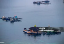 Pesona Masjid Terapung Indonesia di Tengah Laut