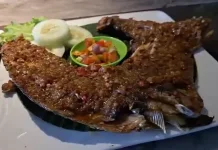 Rekomendasi Tempat Kuliner di Manokwari
