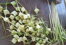 Tradisi dan Makna Lebaran Ketupat
