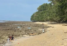 Wisata Pantai Yensum Manokwari Banyak Dikunjungi Warga Berlibur