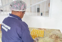 WB Lapas Perempuan Manokwari Produksi Nastar, Dukung Kemandirian Ekonomi