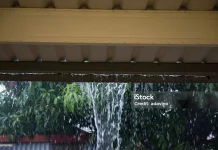 Amankah Air Hujan Dikonsumsi? Berikut Faktanya