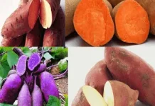 Beda Warna Ubi berbeda pula Manfaatnya