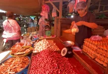 Harga Bahan Pokok di Teluk Bintuni Mulai Naik
