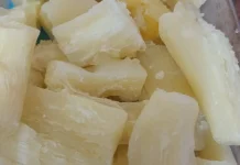 Manfaat Konsumsi Singkong Rebus bagi Kesehatan