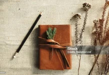 Kisah Buku Diary yang Mulai Terlupakan di Era Digital