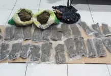Polisi Ungkap Peredaran Ganja di Pelabuhan Manokwari
