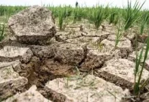 Dari Samudra Pasifik, El Nino Mengguncang Sistem Iklim
